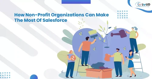 How Non-Profit Organizations Can Make The Most Of Salesforce
