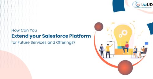 How Can You Extend your Salesforce Platform for Future Services and Offerings?