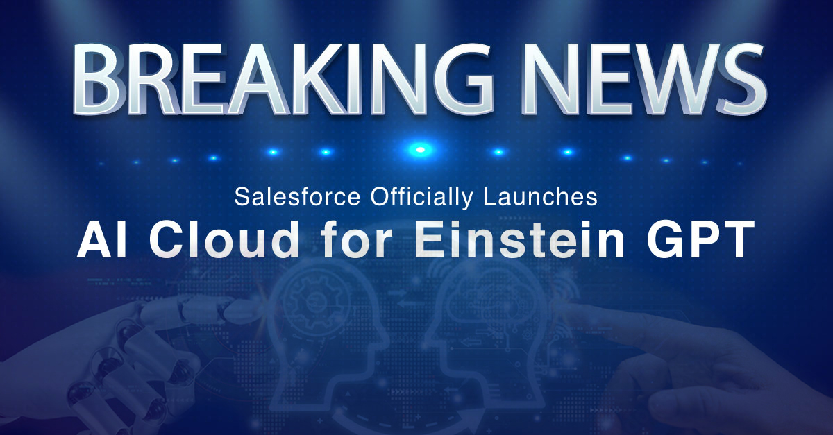 Salesforce certified consultants