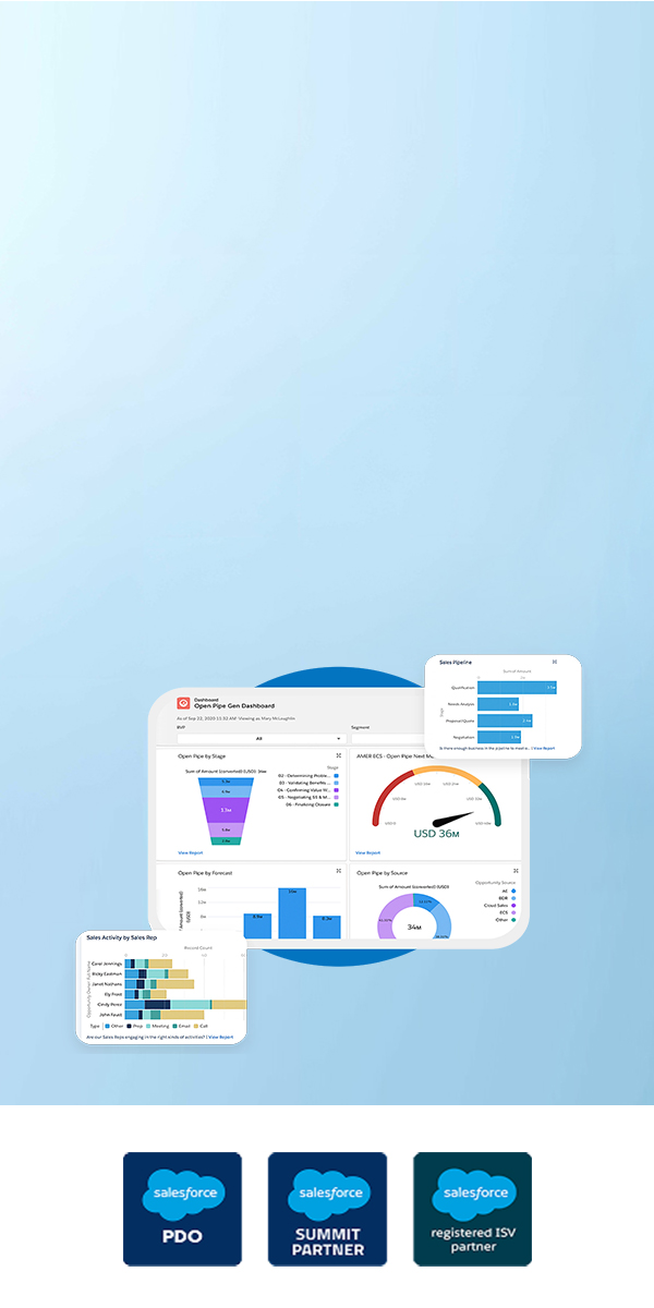 Salesforce Sales Cloud Services to Accelerate Pipeline & Revenue