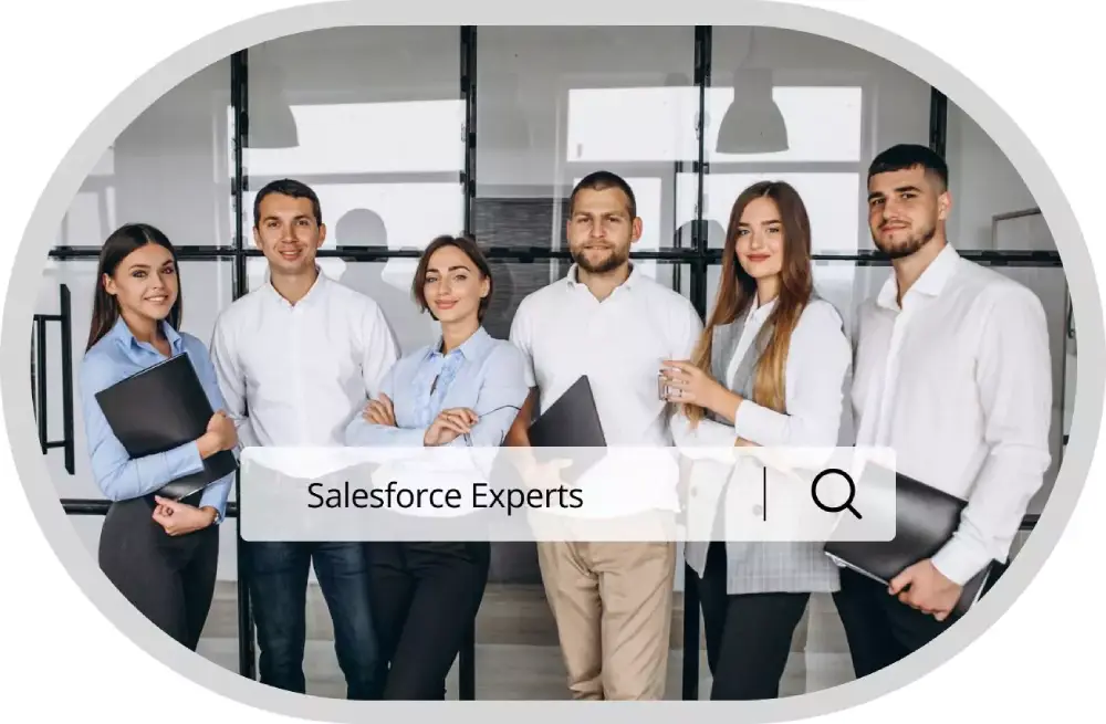 Salesforce Professional