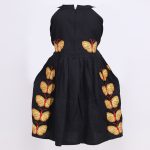 Flutter - Image 2