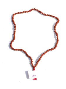 Original 5 Mukhi Rudraksha
